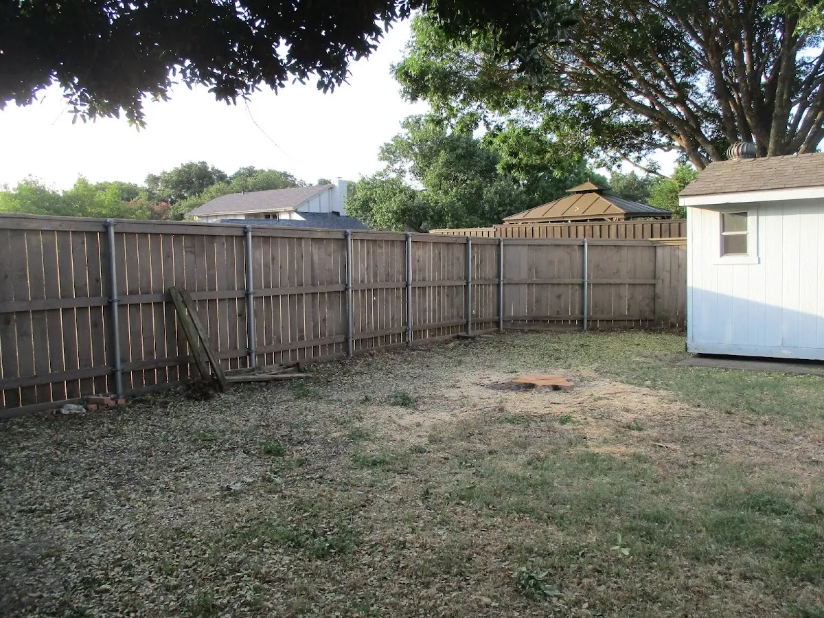Cleared yard after professional tree removal in Martindale